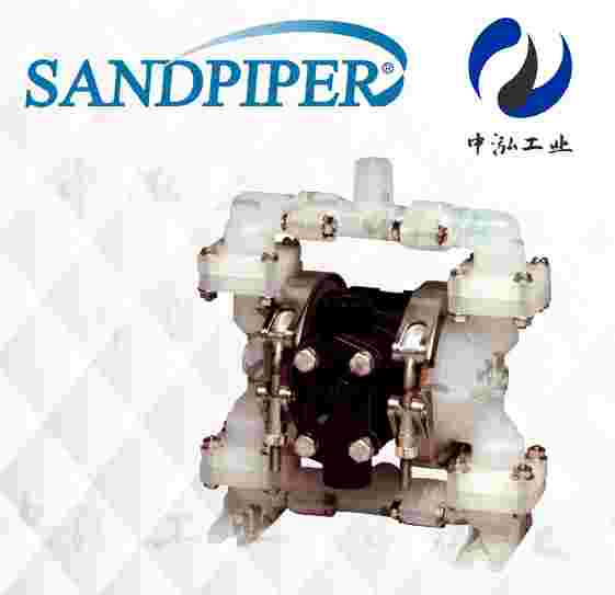 SANDPIPERٰ۵£PB1/4ӸĤ